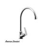 Vòi rửa bát American A-7054J (Nhập khẩu)