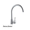 Vòi rửa bát American WF-5608 (Nhập khẩu)
