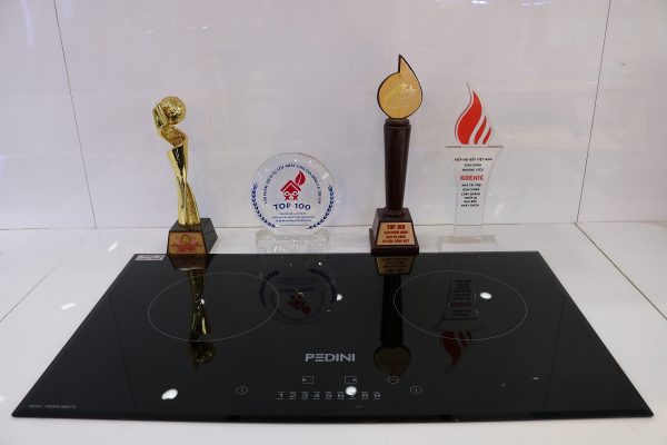 Bếp từ Pedini 888YTL